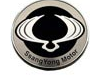 Ssang Yong