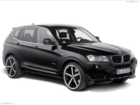 X3 F25 (2011-)