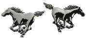 Uzlīme 3D - Horses  ― AUTOERA.LV