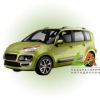 C3 Picasso (2008-)