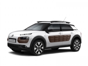 C4 Cactus (2014-)