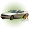 Mustang (2005-)