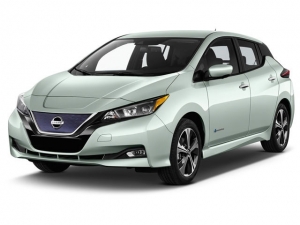 Leaf (2017-2023)
