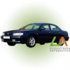 Maxima (1994-2000)