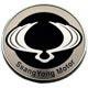 Ssang Yong
